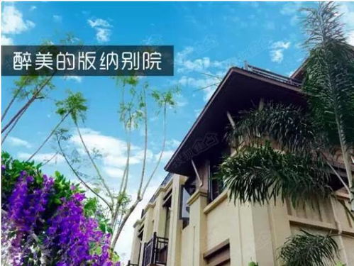 云南旅游地產(chǎn)創(chuàng)造了神話,一種叫云南小院子的東西悄悄地火爆全國(guó)