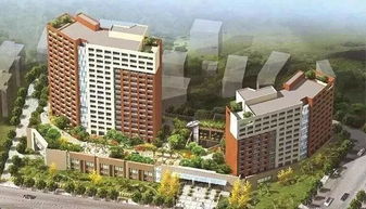 政策指航 康養(yǎng)不只是房地產(chǎn)