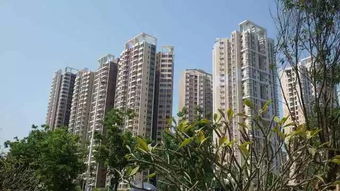 2月起這些新規將實施,快來看看,影響四川人的還不少