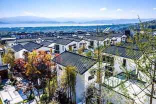 喜訊 實(shí)力集團(tuán)實(shí)力 小院子度假村榮獲 2019中國房地產(chǎn)優(yōu)秀原創(chuàng)產(chǎn)品品牌 殊榮