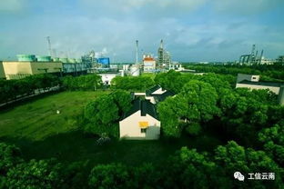 聚焦 全國第四批綠色制造名單公布 云南這些工廠 產(chǎn)品和園區(qū)上榜,其中保山1家綠色工廠