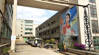 云南紡織廠生產區(qū)文創(chuàng)改造墻體彩繪墻繪手繪 錦泰彩繪